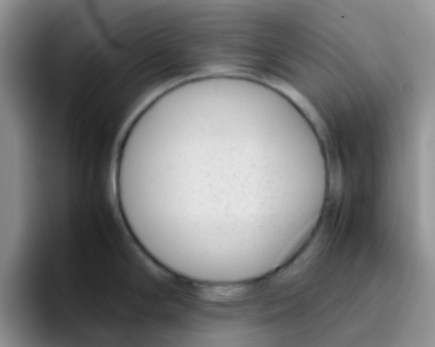 X0000095911294200802081045