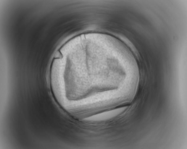 X0000095911295200802081045