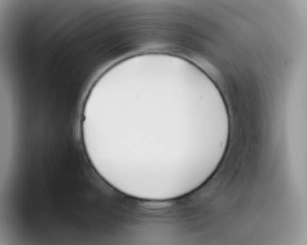 X0000095911296200802081045