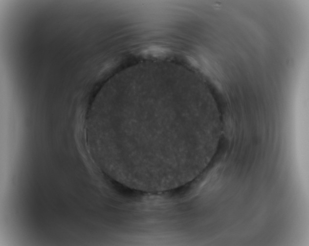 X0000095911297200802081044