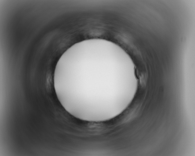 X0000095911299200802081044