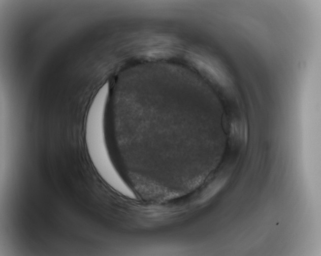 X0000095911300200802081044