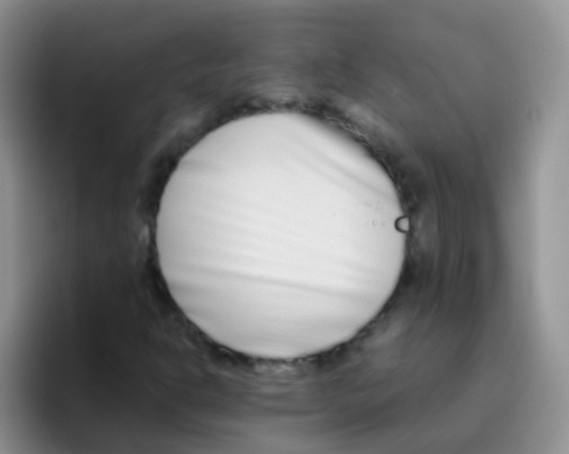 X0000095911302200802081045