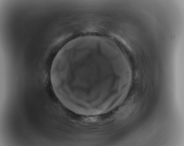 X0000095911303200802081045