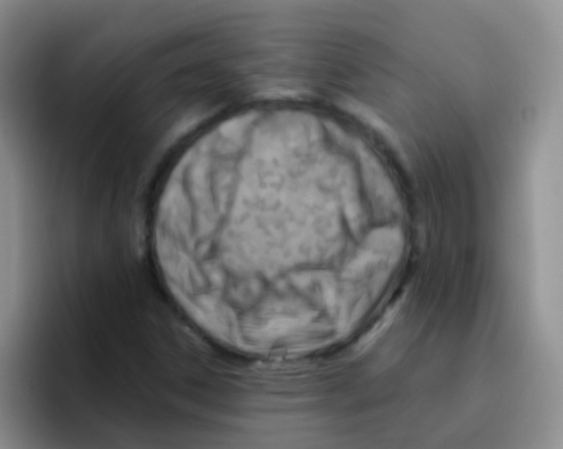 X0000095911306200802081045