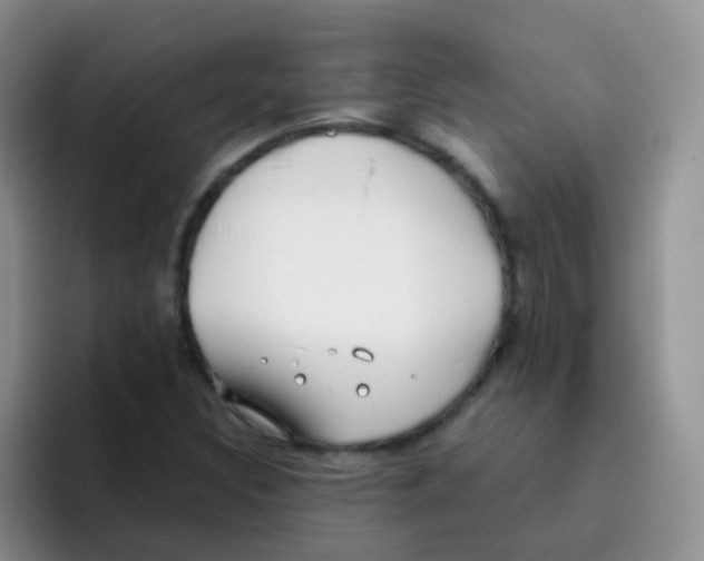 X0000095911308200802081045