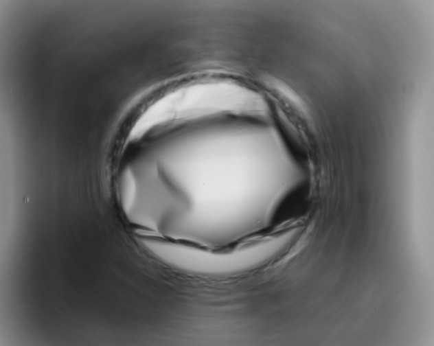 X0000095911310200802081045