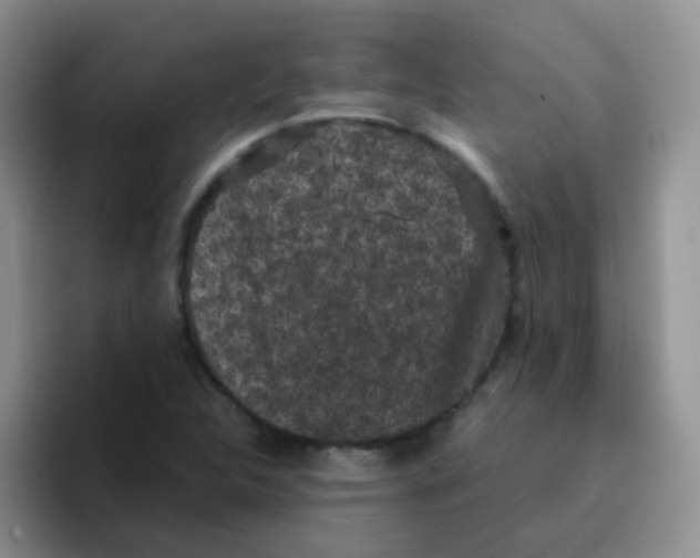 X0000095911312200802081045