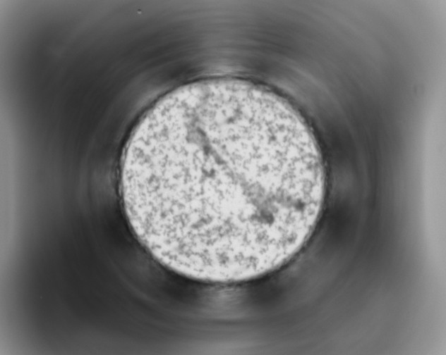 X0000095911314200802081045