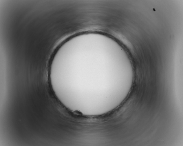 X0000095911316200802081045