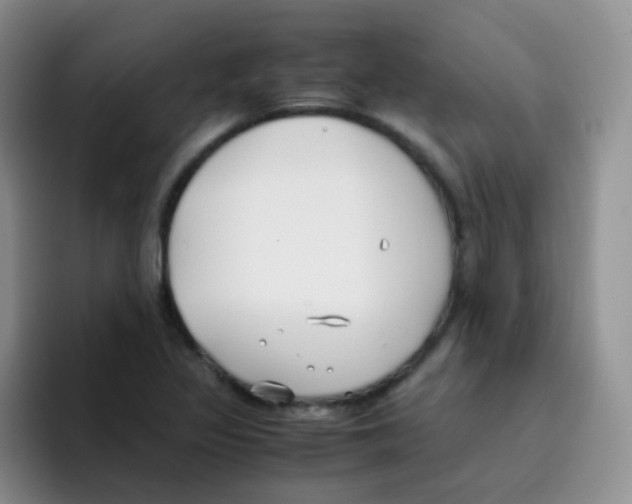 X0000095911317200802081045