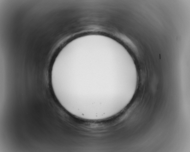 X0000095911318200802081045