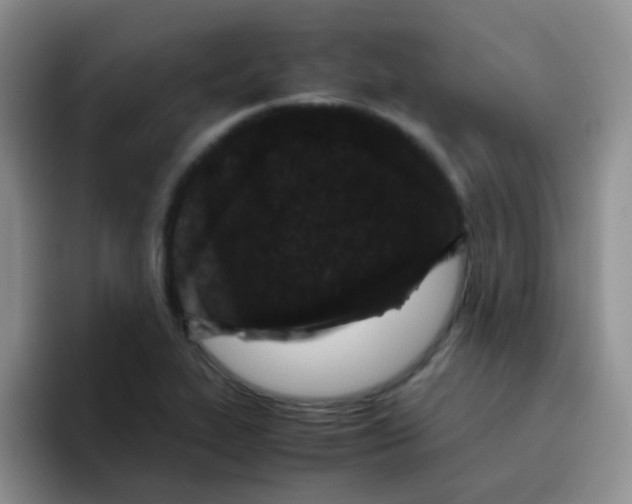 X0000095911319200802081045