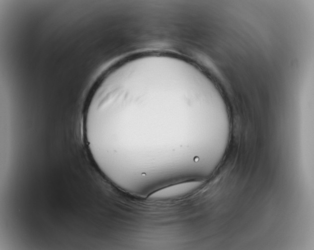 X0000095911320200802081045