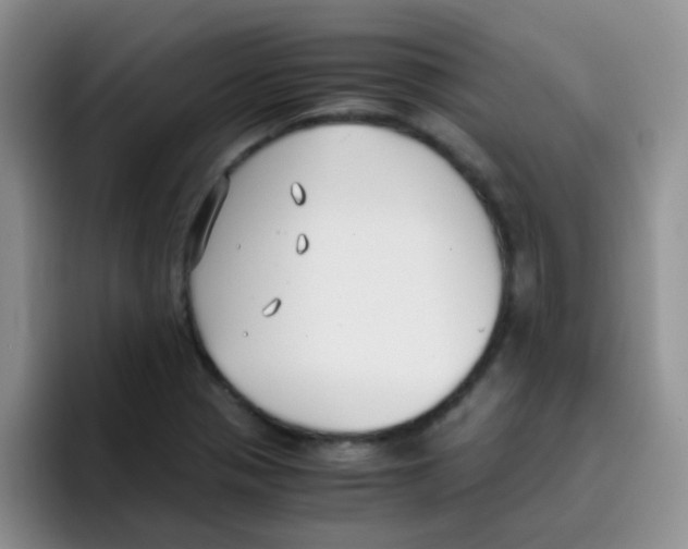 X0000095911321200802081045