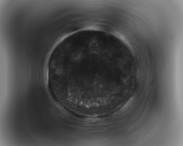 X0000095911323200802081045