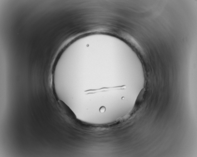 X0000095911324200802081045