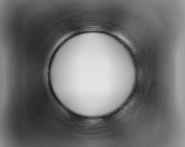 X0000095911325200802081045