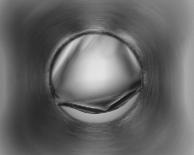 X0000095911326200802081045