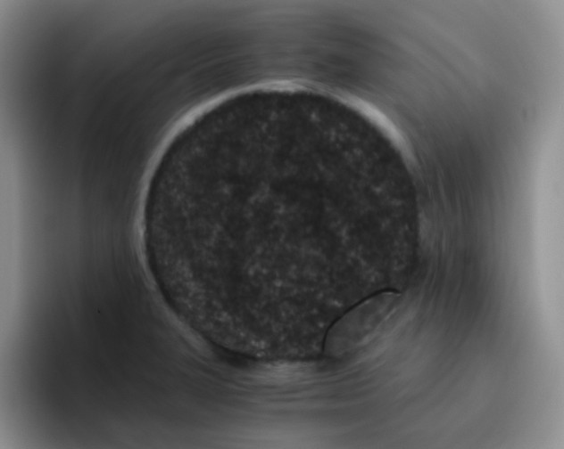 X0000095911327200802081045