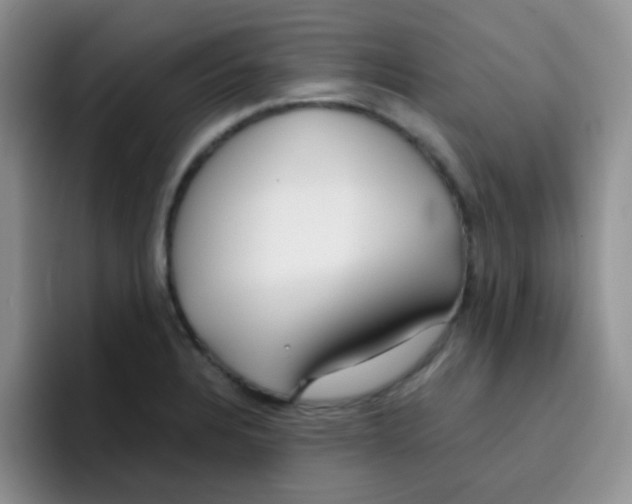 X0000095911328200802081045