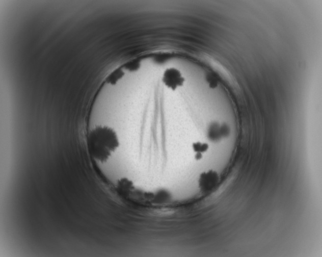 X0000095911329200802081045