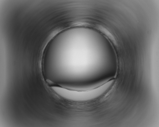 X0000095911330200802081045