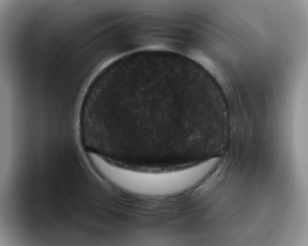 X0000095911331200802081045