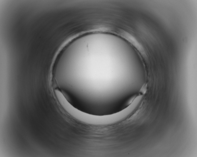 X0000095911332200802081045