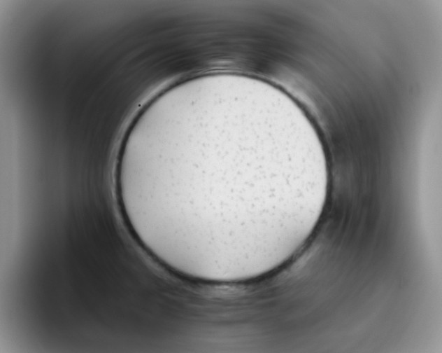 X0000095911333200802081045