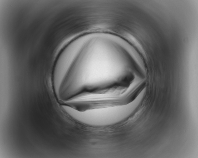 X0000095911336200802081045