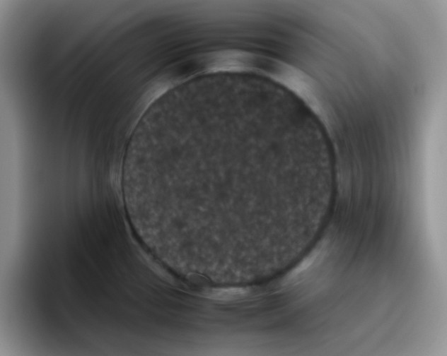 X0000095911337200802081045