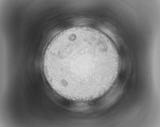 X0000095911338200802081045