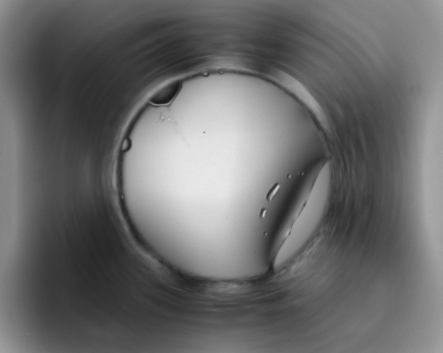 X0000095911339200802081045