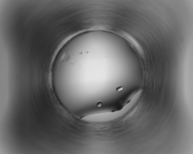 X0000095911340200802081045