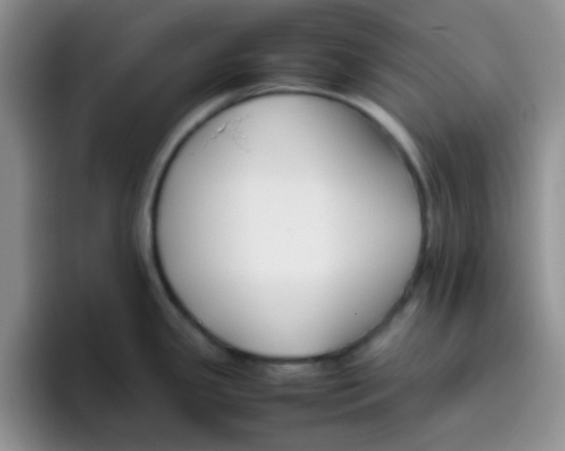 X0000095911341200802081045