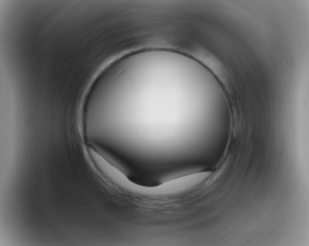 X0000095911342200802081045