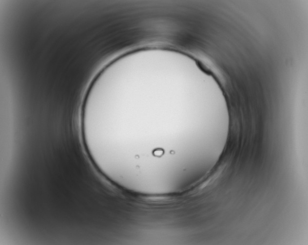 X0000095911343200802081045