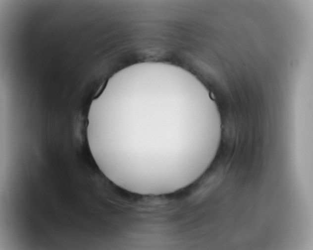 X0000095911346200802081044