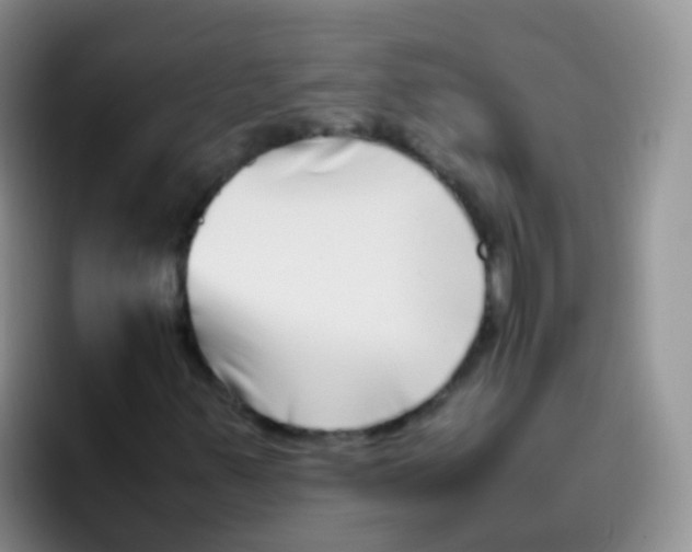 X0000095911347200802081044