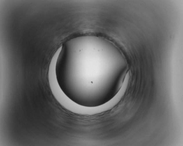 X0000095911348200802081044