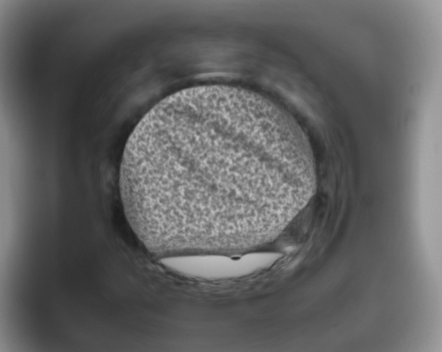 X0000095911351200802081044