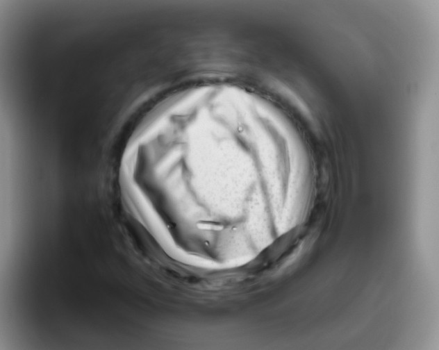 X0000095911352200802081044