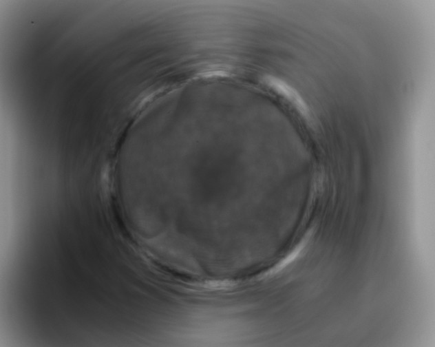 X0000095911353200802081044