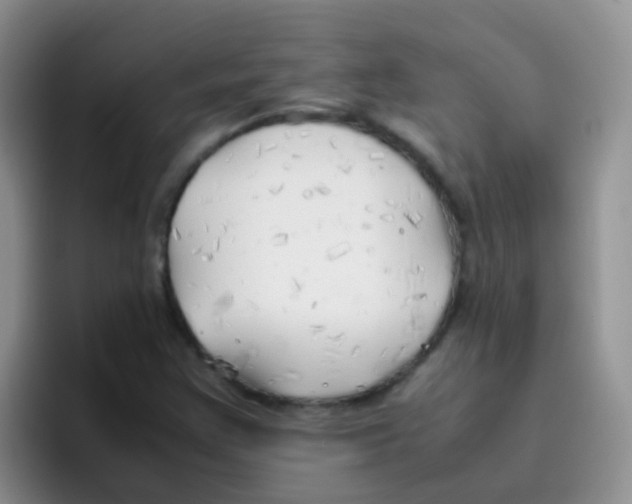 X0000095911355200802081044