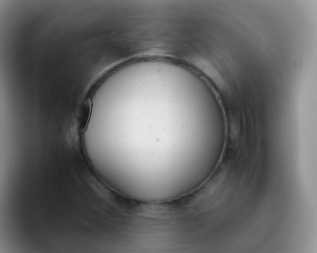 X0000095911356200802081044