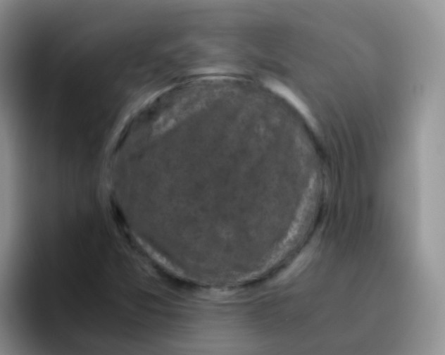 X0000095911357200802081044