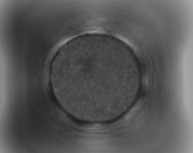 X0000095911359200802081044