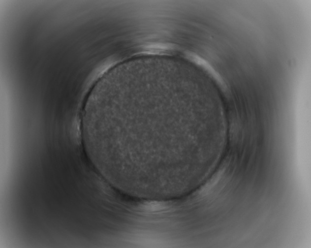 X0000095911362200802081044