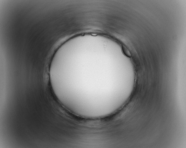 X0000095911363200802081044